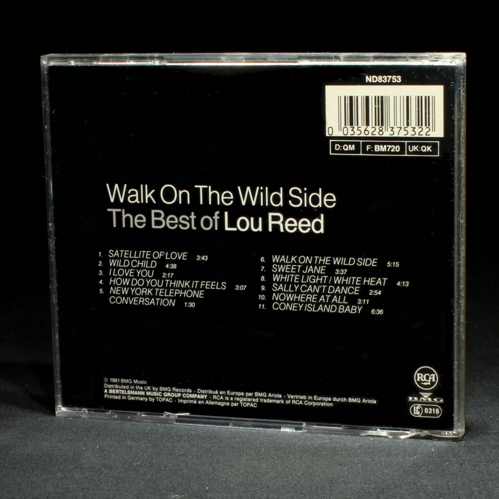 A Walk On The Wild Side Traduzione